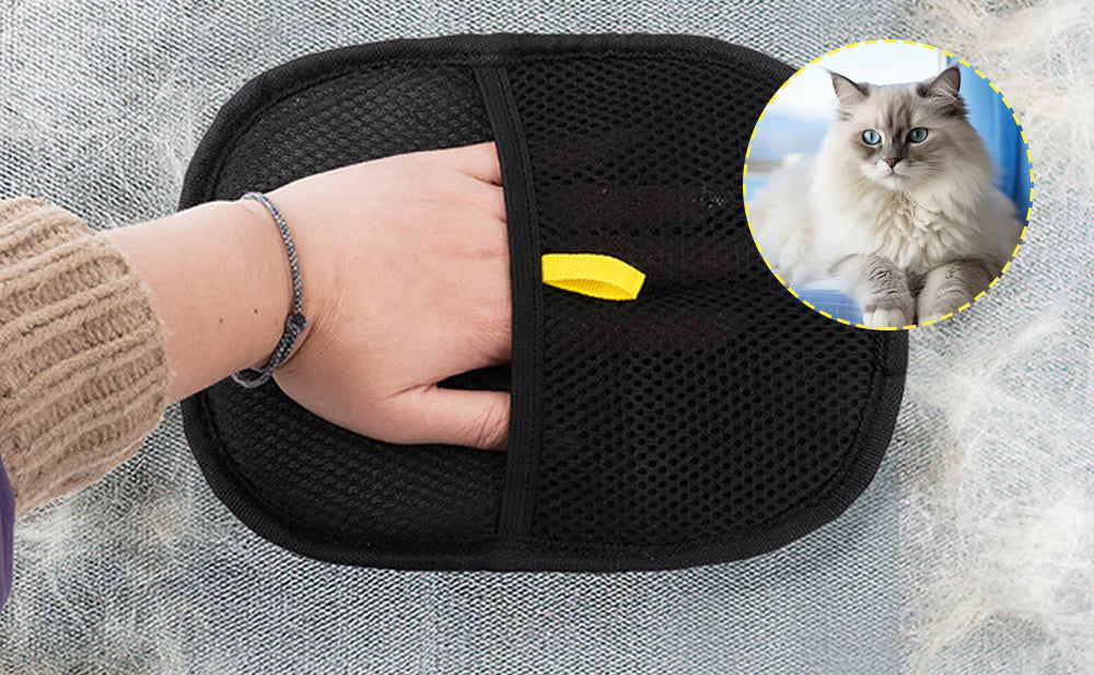 GleamPaw™ Tüy Toplayıcı Eldiven