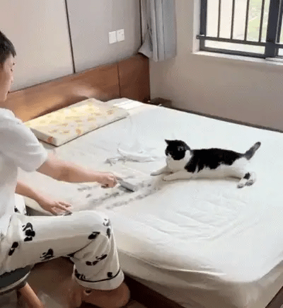 GleamPaw™ Tüy Toplayıcı Eldiven