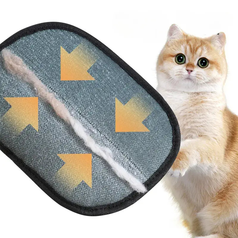 GleamPaw™ Tüy Toplayıcı Eldiven